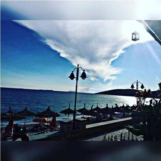 000000000000.napolon 56